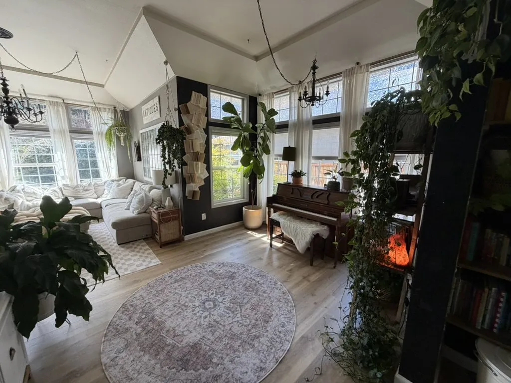 A living room with new plank flooring, a rug and houseplants