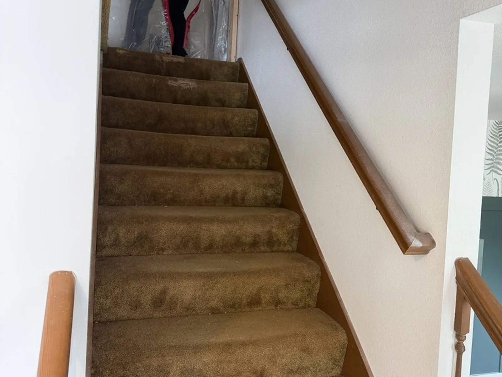 The original staircase before work began, carpeted and worn, with a wall-mounted timber handrail