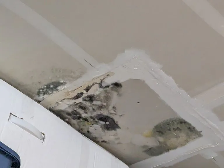 Mould and water staining on a ceiling before repair