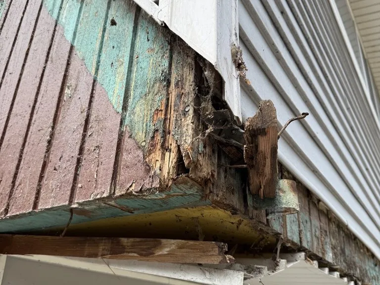 Dry rot found in the trim behind siding
