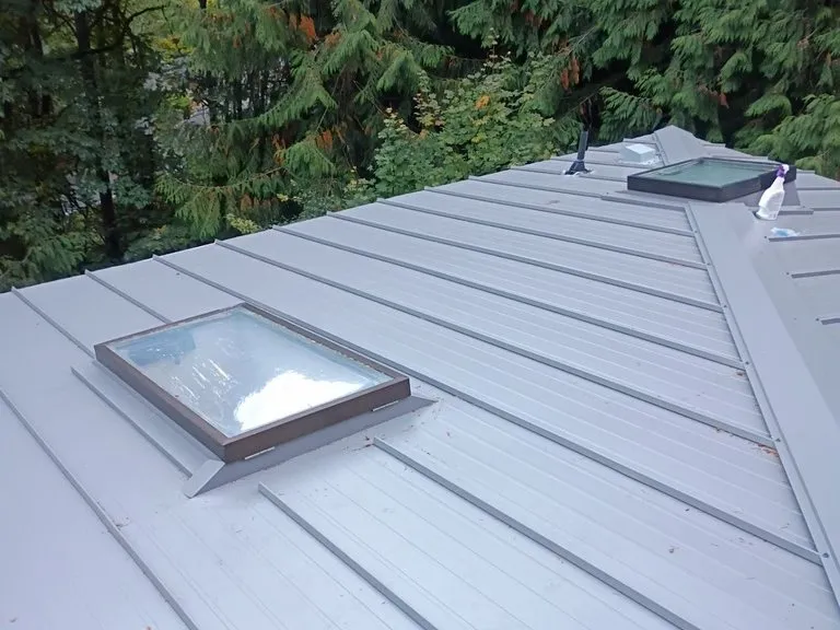 A skylight set into a new standing-seam metal roof